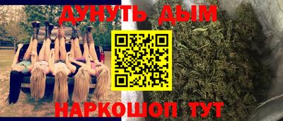 Альфа ПВП Можга