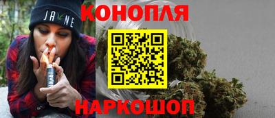 Альфа ПВП Можга