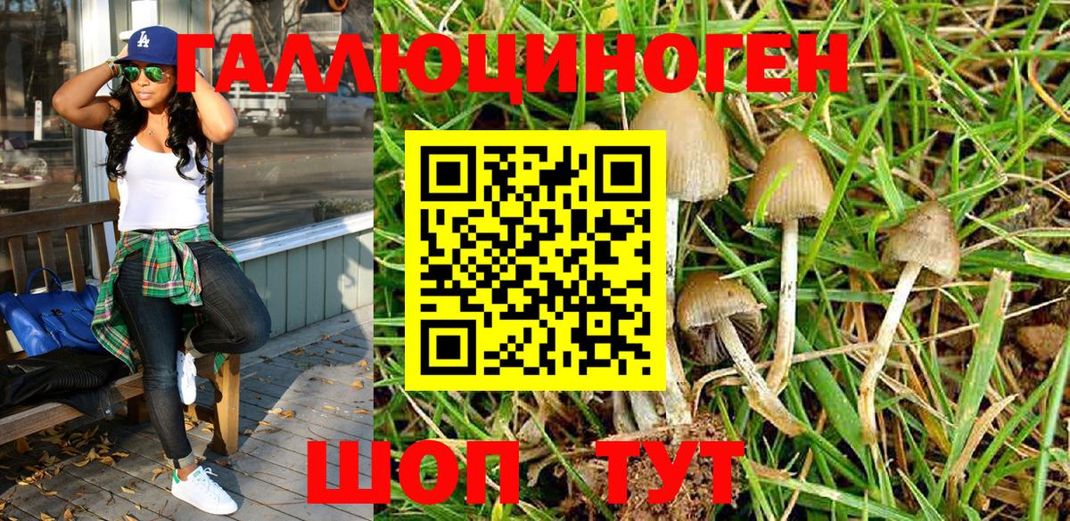 Чита  Галлюциногенные грибы Magic Shrooms  Вход с VPN 