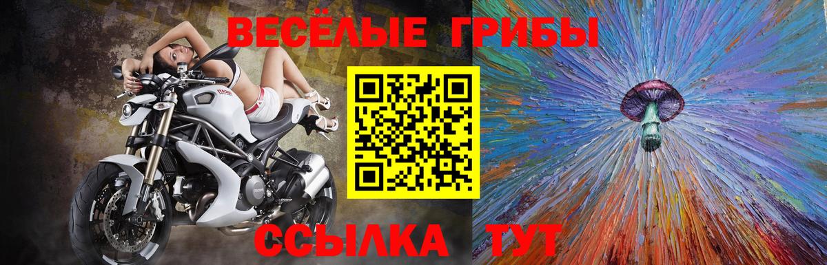 Галлюциногенные грибы мицелий Чита